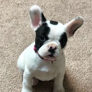 Meet your Posher, Heather